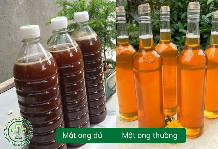 Mối liên hệ giữa nguồn thức ăn và chất lượng mật ong dú 1