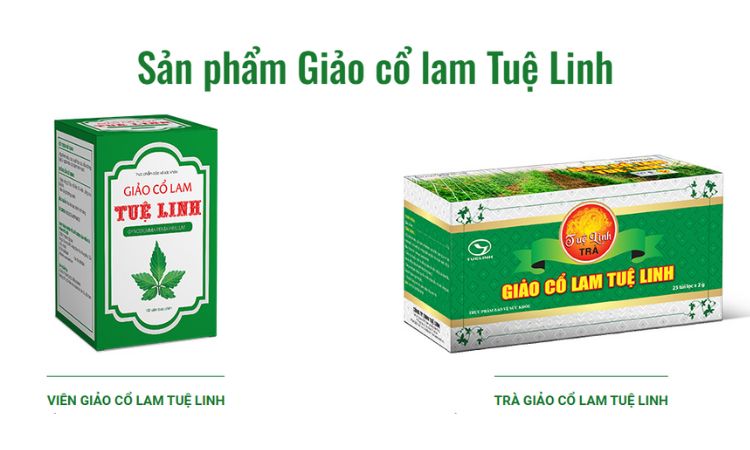 5. Giảo cổ lam Tuệ Linh hỗ trợ điều trị tiểu đường 1 5. Giảo cổ lam Tuệ Linh hỗ trợ điều trị tiểu đường 1