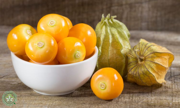 Thu hoạch và bảo quản quả Lồng đèn 1