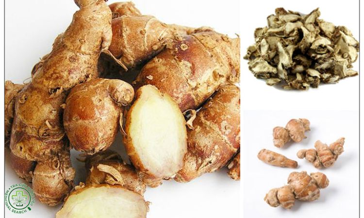 Lưu ý khi sử dụng cây thiền liền 1