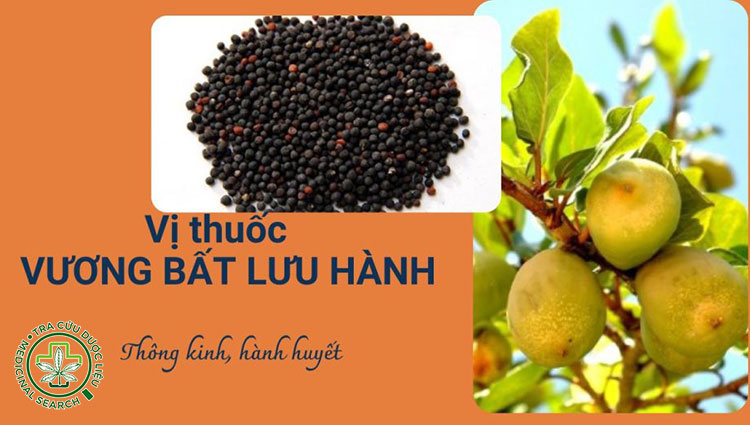 1. Điều hòa kinh nguyệt, giảm đau bụng kinh 1