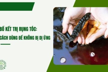 Bồ kết trị rụng tóc: cách dùng đúng để không gây dị ứng