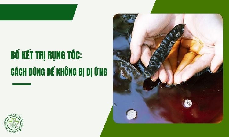 Bồ kết trị rụng tóc: cách dùng đúng để không gây dị ứng 1