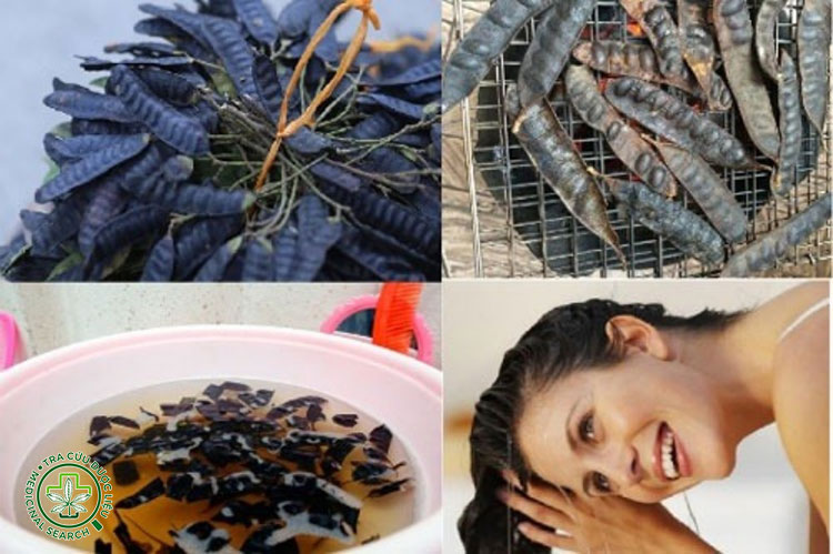 Cách dùng bồ kết để không gây dị ứng 1