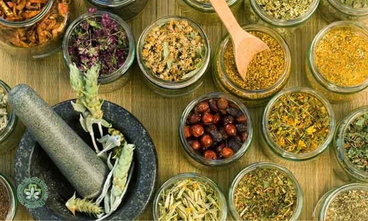 Cách sử dụng dược liệu điều hòa kinh nguyệt đúng và hiệu quả 1 Cách sử dụng dược liệu điều hòa kinh nguyệt đúng và hiệu quả 1