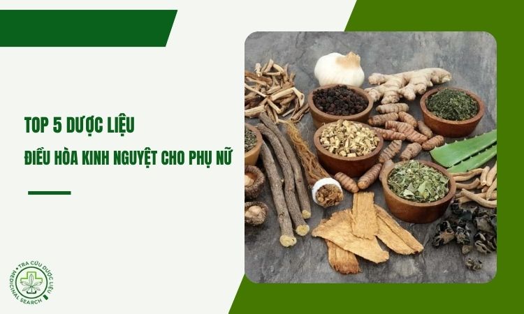 Cây dược liệu hỗ trợ điều hòa kinh nguyệt cho phụ nữ 1 Cây dược liệu hỗ trợ điều hòa kinh nguyệt cho phụ nữ 1