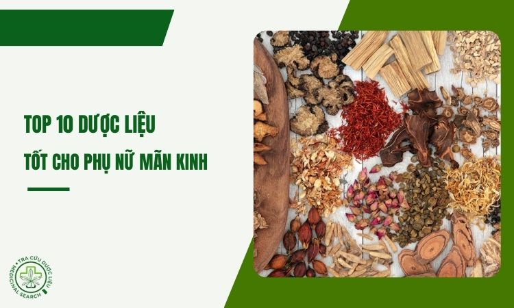 Top 10 dược liệu tốt cho phụ nữ mãn kinh 1