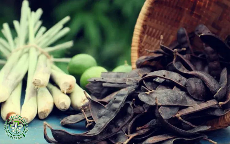 Các cách dùng bồ kết trị rụng tóc hiệu quả nhất 2