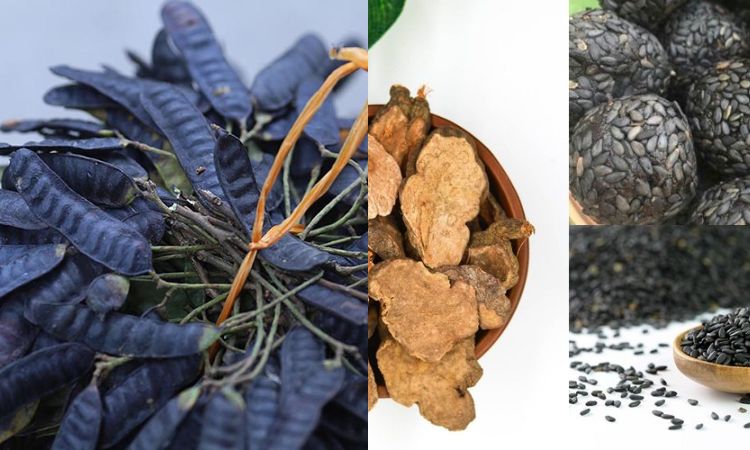 So sánh nhanh: Hà thủ ô – Bồ kết – Vừng đen trị rụng tóc 1