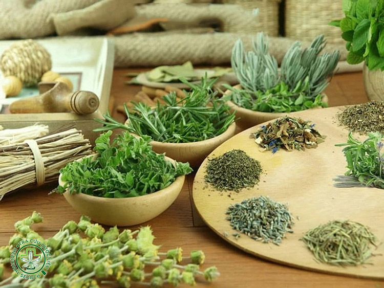 Cách kết hợp các dược liệu để tăng hiệu quả ngủ ngon 1