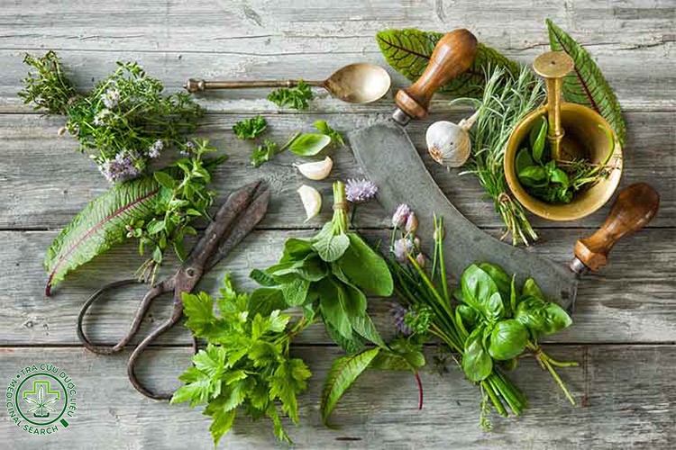 Lưu ý quan trọng khi dùng dược liệu 1