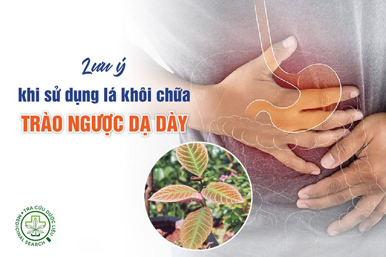 Lưu ý quan trọng khi dùng khôi tía chữa trào ngược 1 Lưu ý quan trọng khi dùng khôi tía chữa trào ngược 1