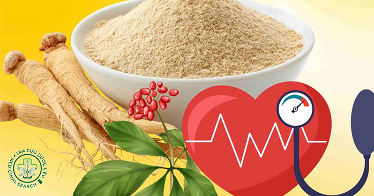 1. Nhân sâm – hỗ trợ tăng huyết áp nhẹ 1