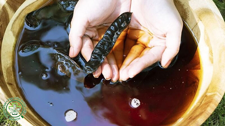 Các cách dùng bồ kết trị rụng tóc hiệu quả nhất 1