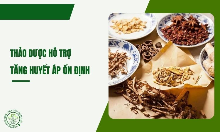 Thảo dược hỗ trợ tăng huyết áp ổn định 1