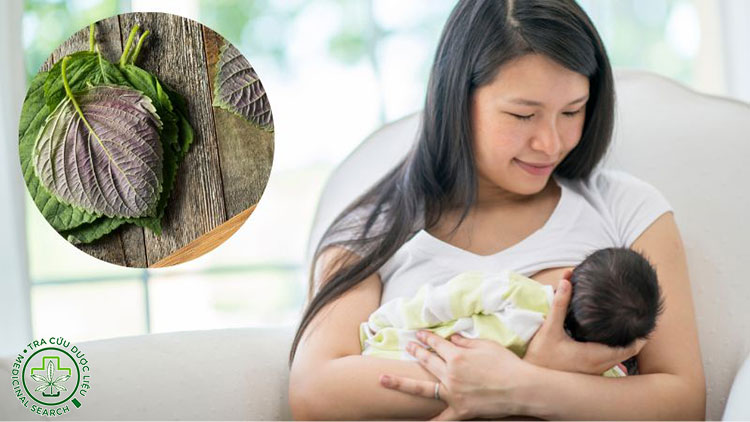 Công dụng cho phụ nữ 1 Công dụng cho phụ nữ 1
