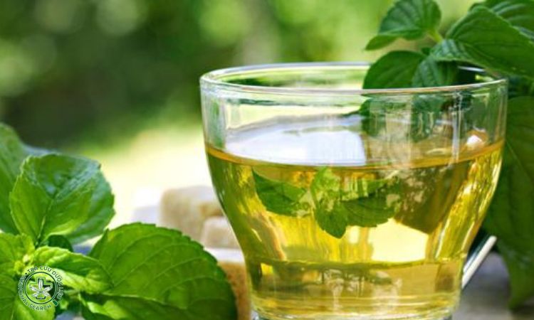 4. Trà bạc hà – Giảm đầy bụng, giảm co thắt dạ dày 1