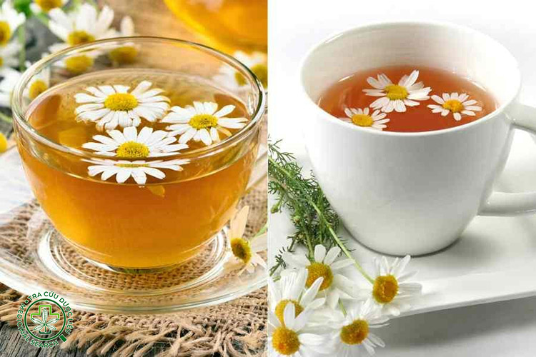 5. Trà hoa cúc 1