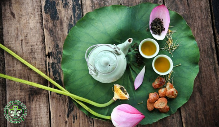 3. Pha lá sen kết hợp thảo dược hỗ trợ giảm cân 1