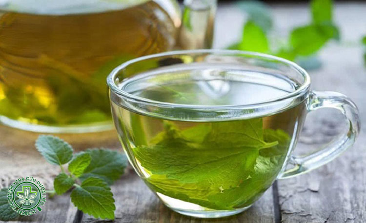 Những ai không nên dùng lá kinh giới trị cảm nắng? 1