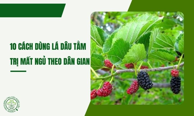 10 cách dùng lá dâu tằm trị mất ngủ theo mẹo dân gian 1