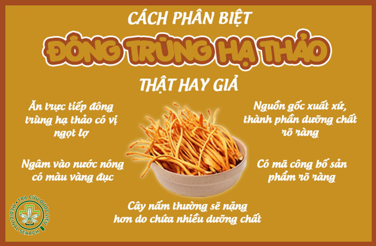 Phân biệt theo từng dạng sản phẩm 1