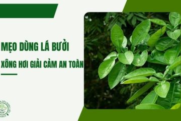 Mẹo dùng lá bưởi xông hơi giải cảm an toàn