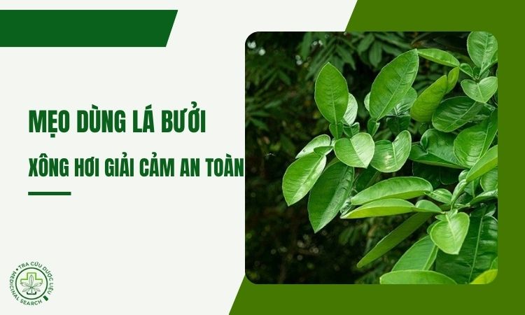 Mẹo dùng lá bưởi xông hơi giải cảm an toàn 1