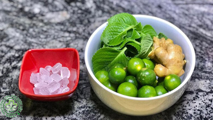 Cách 3: Nước lá húng chanh + gừng + đường phèn 1