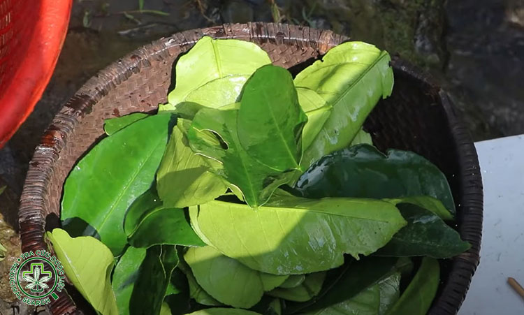 Chuẩn bị nguyên liệu 1