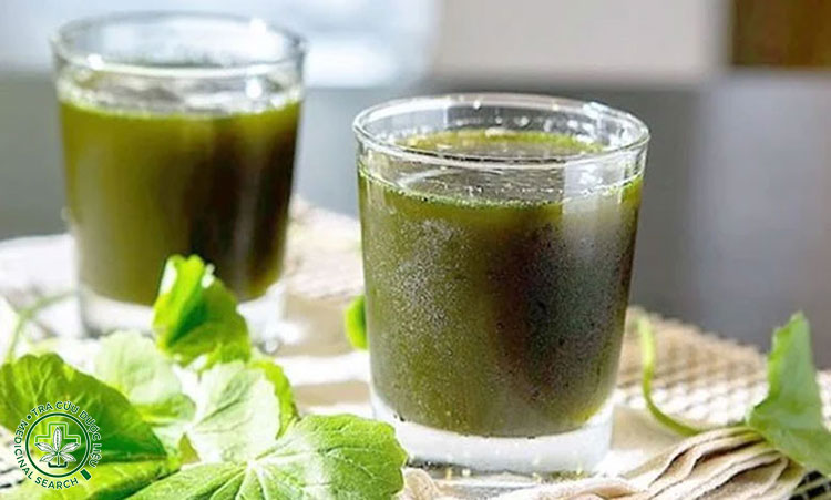 Nấu nước lá rau má tươi 1 Nấu nước lá rau má tươi 1