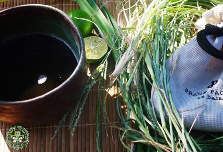 Uống nước mần trầu giải nhiệt – mát gan 1