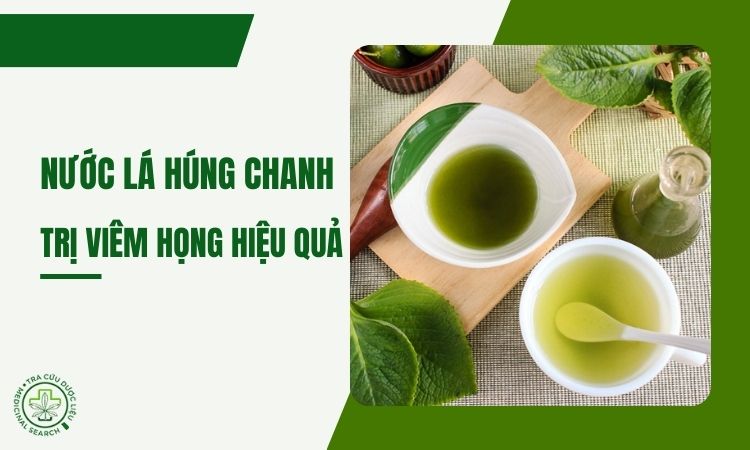Cách làm nước lá húng chanh trị viêm họng đơn giản tại nhà 1