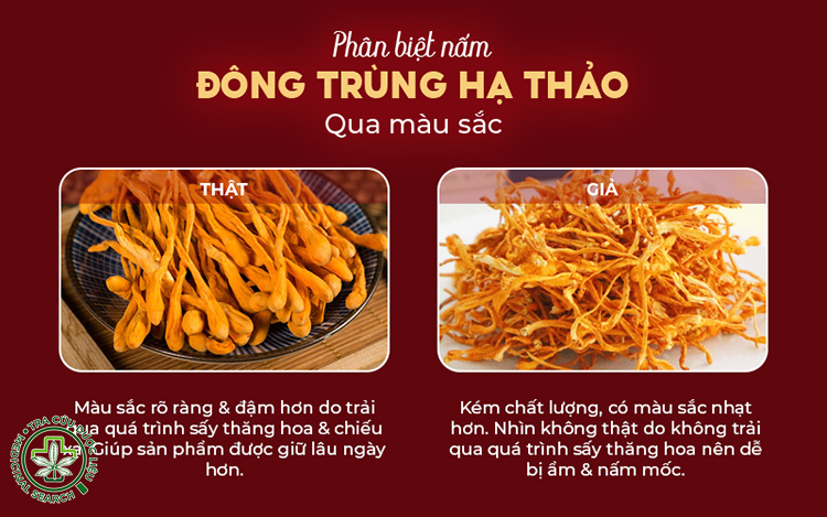 Phân biệt bằng mắt thường 1