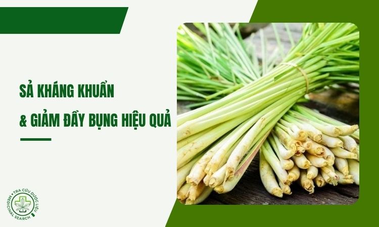 Sả – lợi ích kháng khuẩn & giảm đầy bụng 1