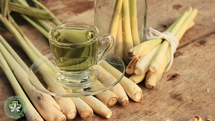 Sả giúp giảm đầy bụng, chướng hơi như thế nào? 2