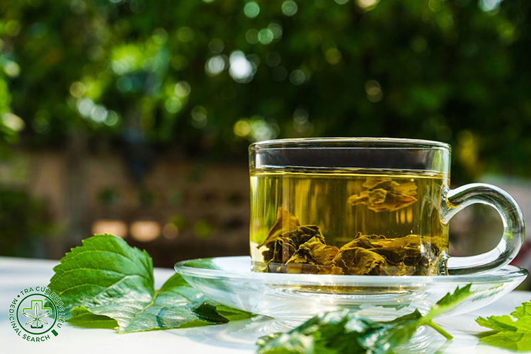 1. Uống nước lá dâu tằm tươi trước khi ngủ 1