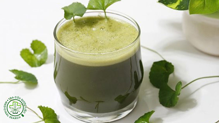 Uống nước lá rau má giải nhiệt thế nào cho đúng? 1 Uống nước lá rau má giải nhiệt thế nào cho đúng? 1